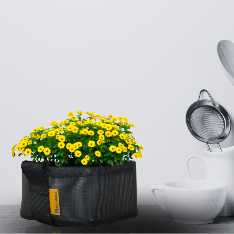 Guía Definitiva para Elegir la Maceta Perfecta: Por Qué las Macetas Textiles Superan a las Tradicionales